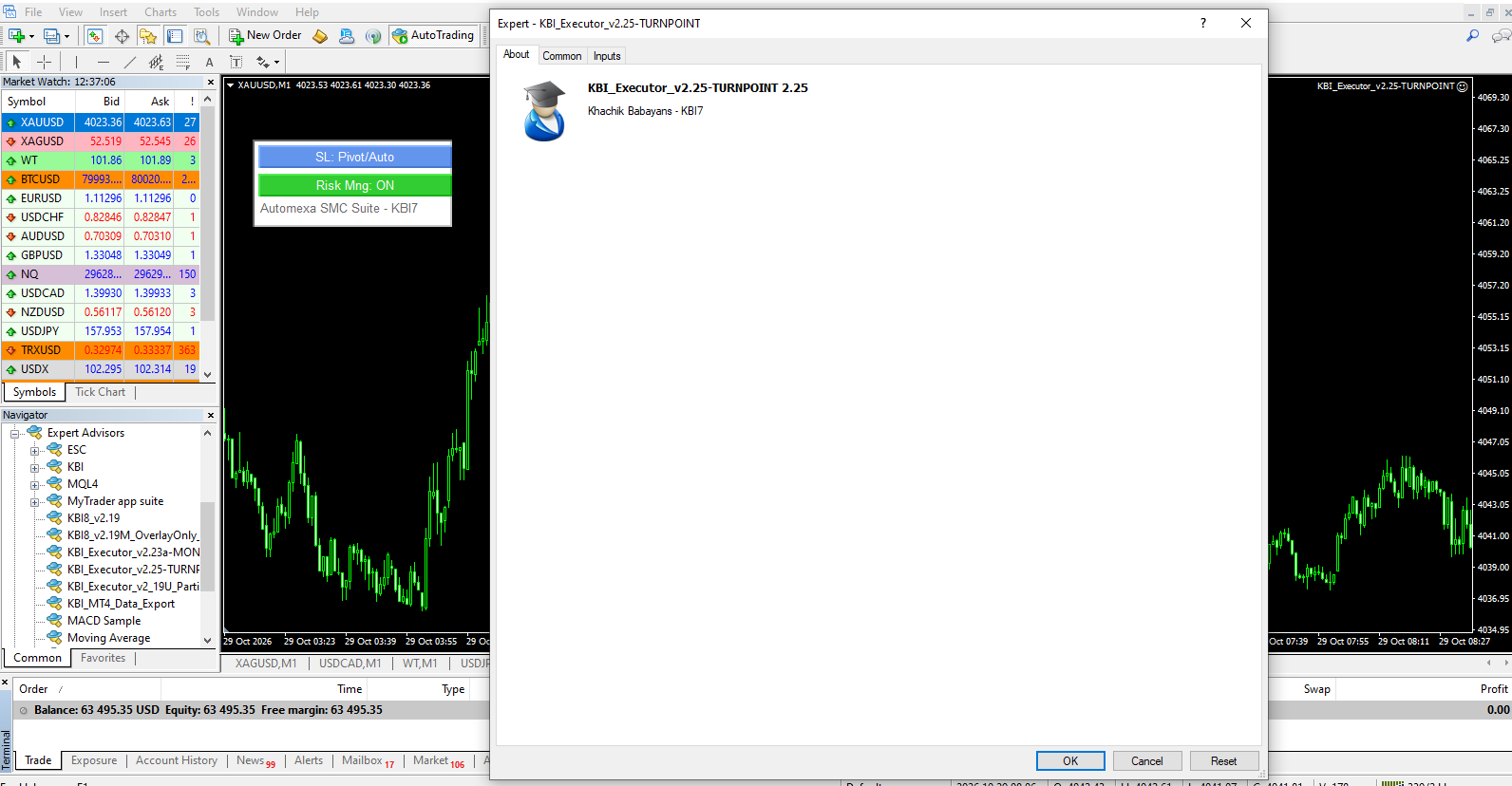 Executor expert advisor settings window in MetaTrader